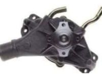 OEM 2002 Chevrolet Astro Water Pump Assembly - 89060527