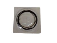 OEM Ring Kit-Piston - 12659419