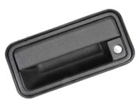 OEM Chevrolet Handle, Outside - 15742229