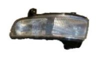 OEM 2007 Cadillac DTS Fog Lamp Assembly - 25797624