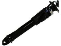 OEM Chevrolet Corvette Rear Shock Absorber Kit - 19302789