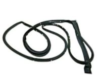 OEM Chevrolet Silverado 1500 Door Weatherstrip - 23286283