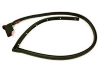 OEM 2020 Chevrolet Express 2500 Lower Weatherstrip - 15821952