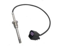 OEM 2009 Chevrolet Silverado 2500 HD Temperature Sensor - 12623113