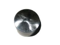 OEM Pontiac Valve Lifters - 24438041