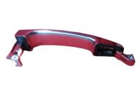 OEM 2008 Chevrolet Aveo Handle, Outside - 96468266