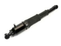 OEM 2009 Chevrolet Corvette Shock Absorber - 19302781