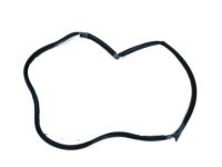 OEM Pontiac Firebird Weatherstrip Asm-Front Side Door - 10337869
