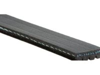 OEM Chevrolet Trailblazer AC Belt - 12576446