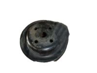 OEM Buick Commercial Chassis Pulley-Fan - 10215266