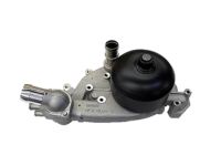 OEM 2002 Pontiac Firebird Pump Kit, Water - 89018053