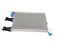 OEM Chevrolet Cooler - 22844507