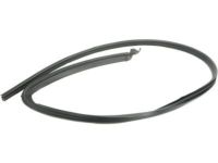 OEM 2004 Hummer H2 Weatherstrip - 25868658