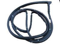 OEM 2012 Chevrolet Camaro Belt Weatherstrip - 22859956