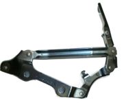 OEM 2005 Chevrolet Cobalt Hinge - 25881405