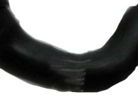 OEM Saturn Lower Hose - 25775994