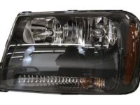 OEM 2009 Chevrolet Trailblazer Composite Assembly - 25970909