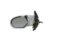 OEM 2010 Cadillac Escalade Courtesy Lamp - 15874999