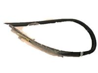 OEM 2007 Chevrolet Cobalt Belt Weatherstrip - 20847948