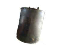 OEM Pontiac Parisienne Canister - 17064622