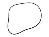 OEM Chevrolet Corvette Seal - 89060115