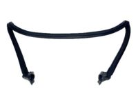 OEM Chevrolet Corvette Weatherstrip Asm-Windshield Frame *Black - 10333466