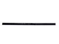 OEM 2005 GMC Envoy Belt Weatherstrip - 25864093