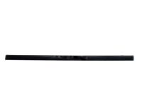 OEM 2004 Buick Rainier Belt Weatherstrip - 25864093