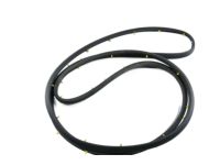 OEM Chevrolet Equinox Door Weatherstrip - 23282071