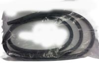 OEM Chevrolet Aveo5 Weatherstrip On Body - 96467380