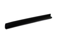 OEM Chevrolet Equinox Lower Molding - 25824824