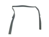 OEM Chevrolet Silverado 1500 Run Weatherstrip - 84462124