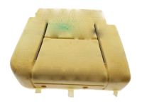 OEM 2010 GMC Sierra 1500 Pad Asm-Rear Seat Cushion - 22771032