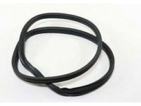 OEM GMC Yukon XL Glass Weatherstrip - 20963245