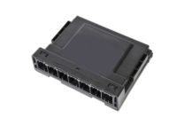 OEM GMC Module - 13594571