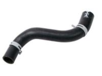 OEM Chevrolet Impala Lower Hose - 10423132