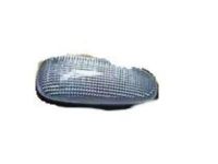 OEM Cadillac STS Repeater Lamp - 15930599