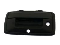 OEM Chevrolet Handle - 84203910