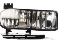 Genuine Cadillac Fog Lamp Assembly - 15252038