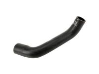 OEM Chevrolet Corvette Lower Hose - 10359363