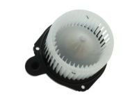 OEM Buick Fan & Motor - 89018747