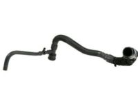 OEM GMC Savana 2500 Lower Hose - 19351811