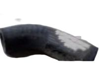 GM 12600254