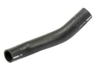 OEM 2007 Buick Lucerne Lower Hose - 21999765