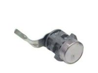 OEM GMC Jimmy Cylinder, End Gate Lock - 12382962