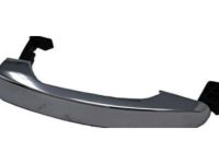 OEM 2012 Chevrolet Malibu Handle, Outside - 22867272