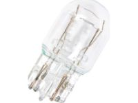 OEM Run Lamp Bulb - 13500813