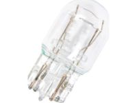 OEM Chevrolet Run Lamp Bulb - 13500813