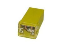 OEM 2002 Pontiac Aztek Maxi Fuse - 15319480