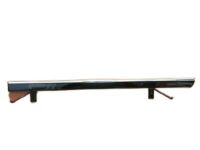 OEM 2010 Chevrolet Traverse Side Molding - 22763943